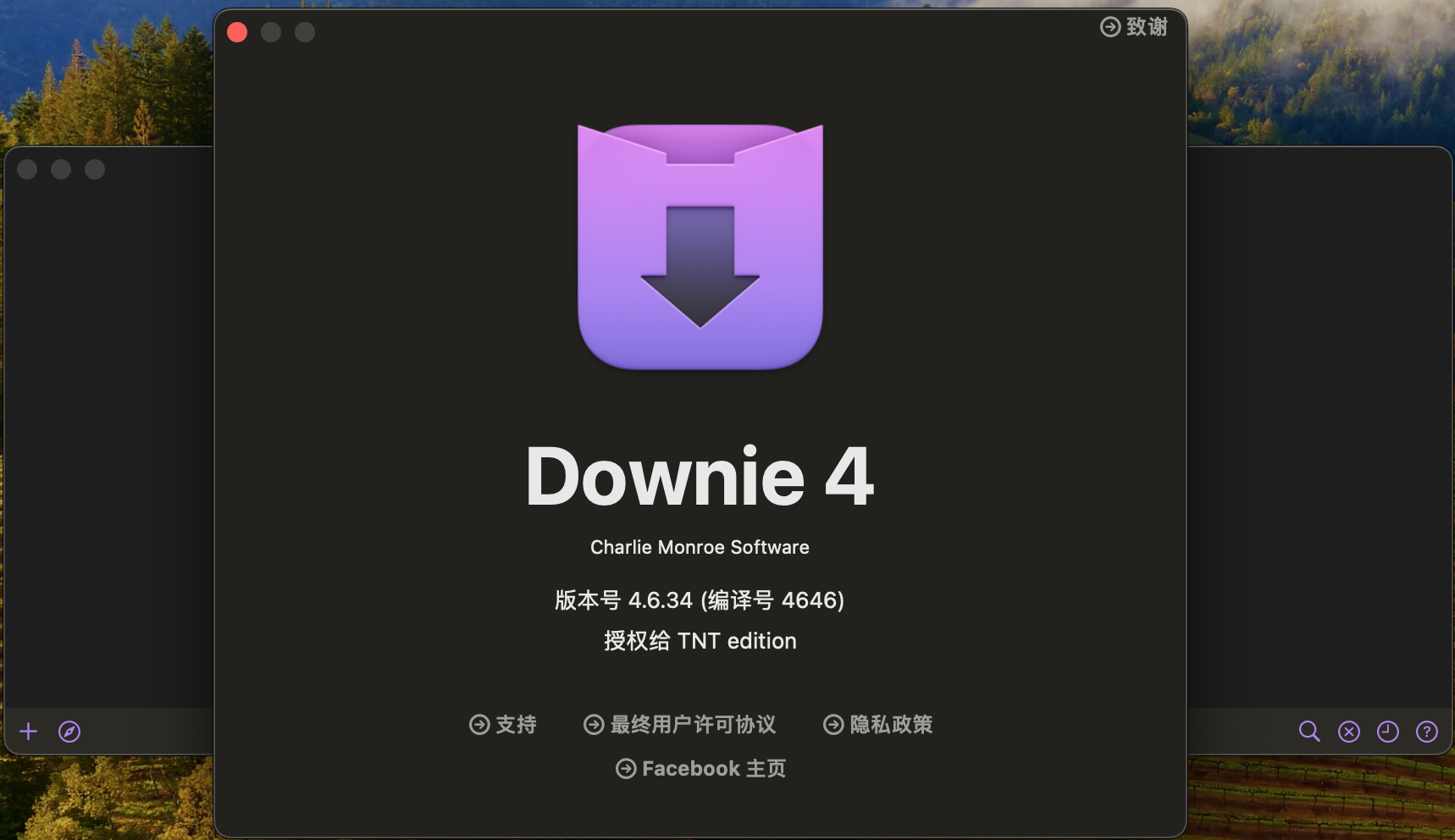 网络视频下载神器Downie 4.4.6.34中文愉快版 -上网的蜗牛